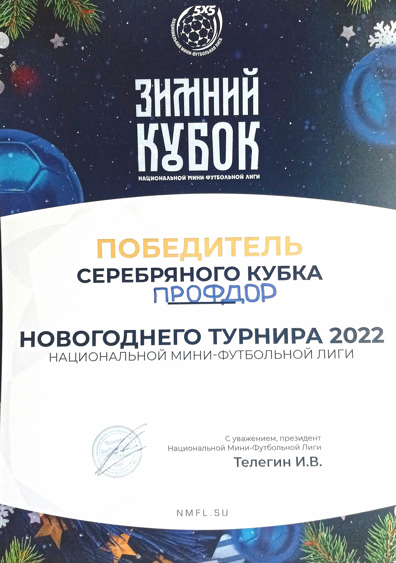 Победитель Серебряного кубка по мини-футболу НМФЛ 2022