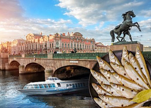 Корюшка идет!  На рыбный фестиваль в Петербург! 