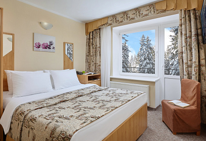 Новый год в Парк-отеле «Zvenigorod» 4*