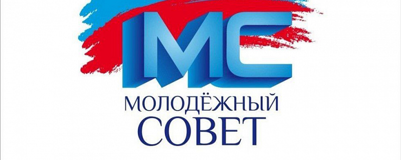 Заседание Молодежного Совета ПМР Москвы